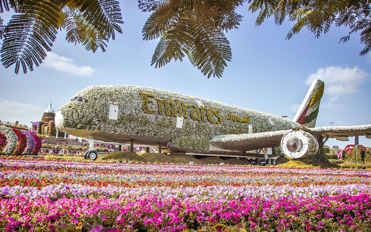 Dubai Miracle Garden