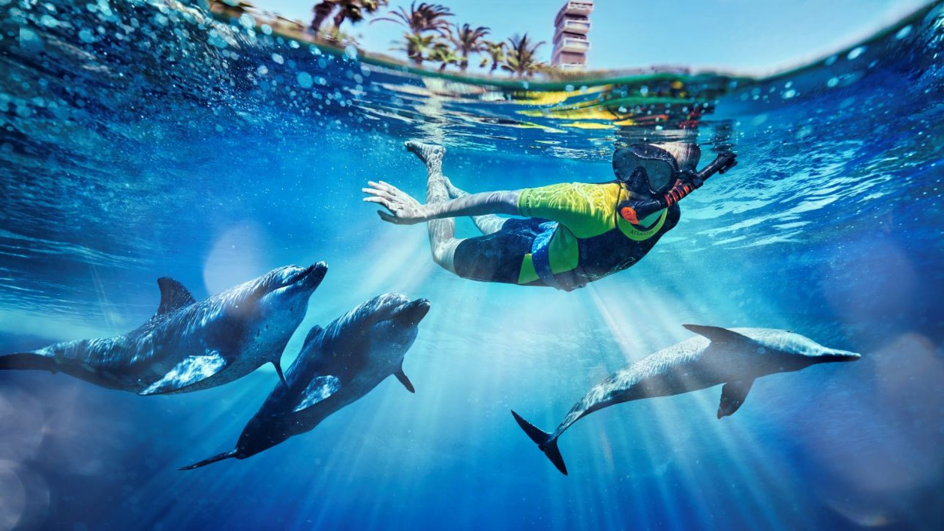 Atlantis Dolphin Swim