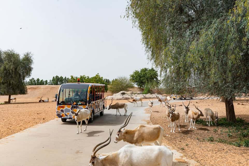 Dubai Safari Park