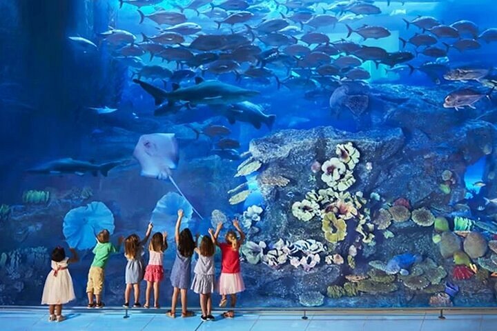Dubai Aquarium & Underwater Zoo + Penguin Cove  (valid until 31 Dec 2025)
