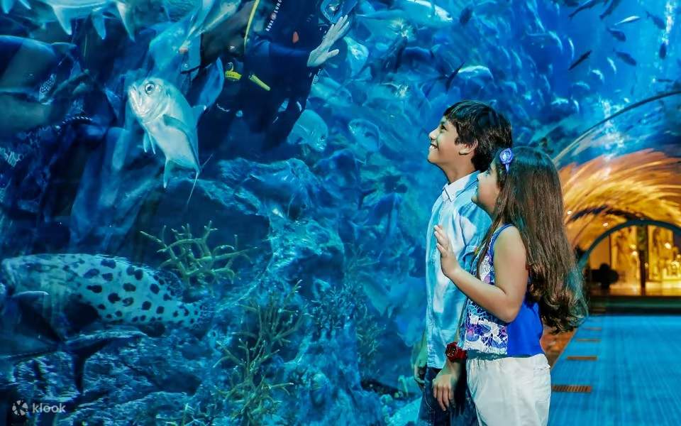 Dubai Aquarium & Underwater Zoo + Penguin Cove  (valid until 31 Dec 2025)