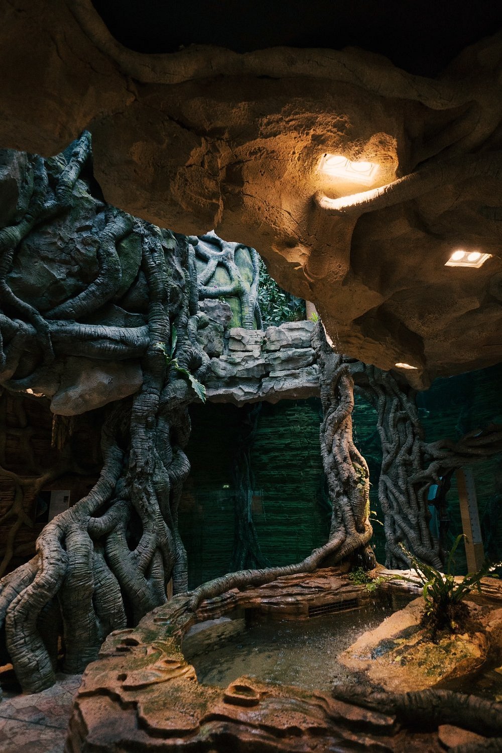 The Green Planet