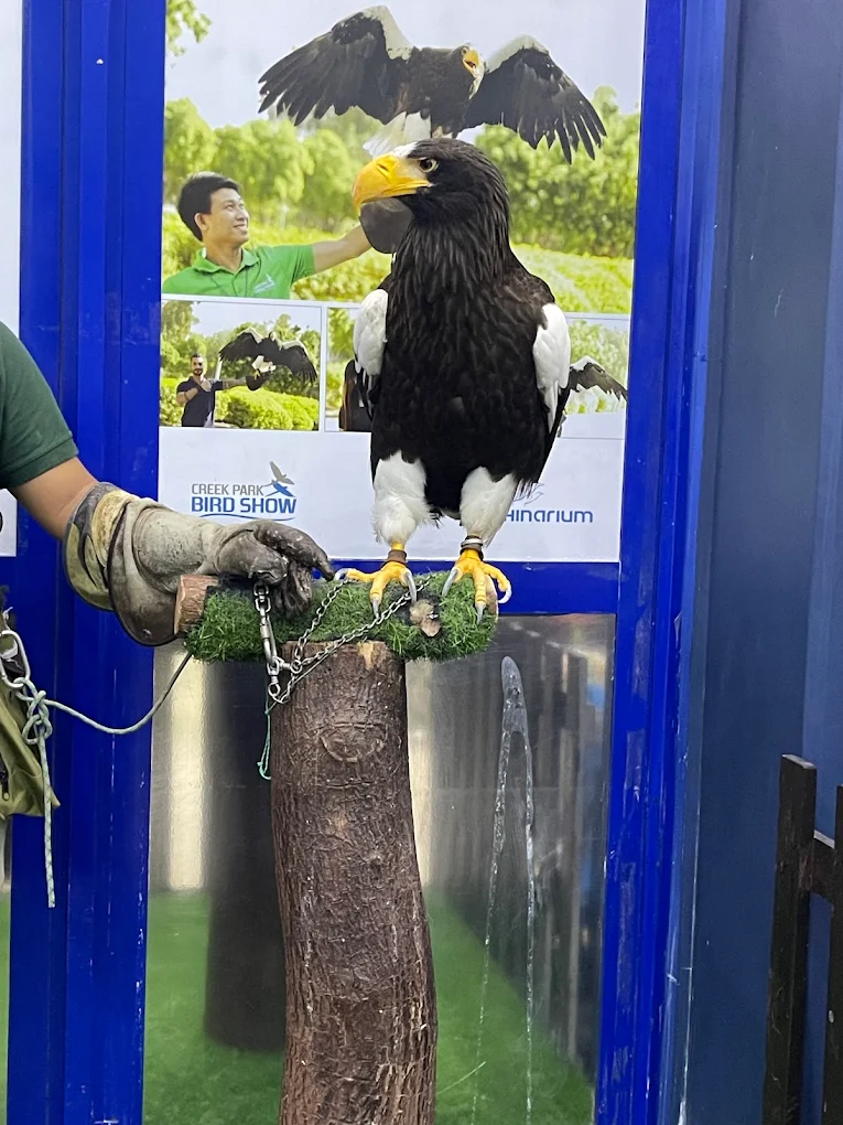Exotic Bird Show Dubai