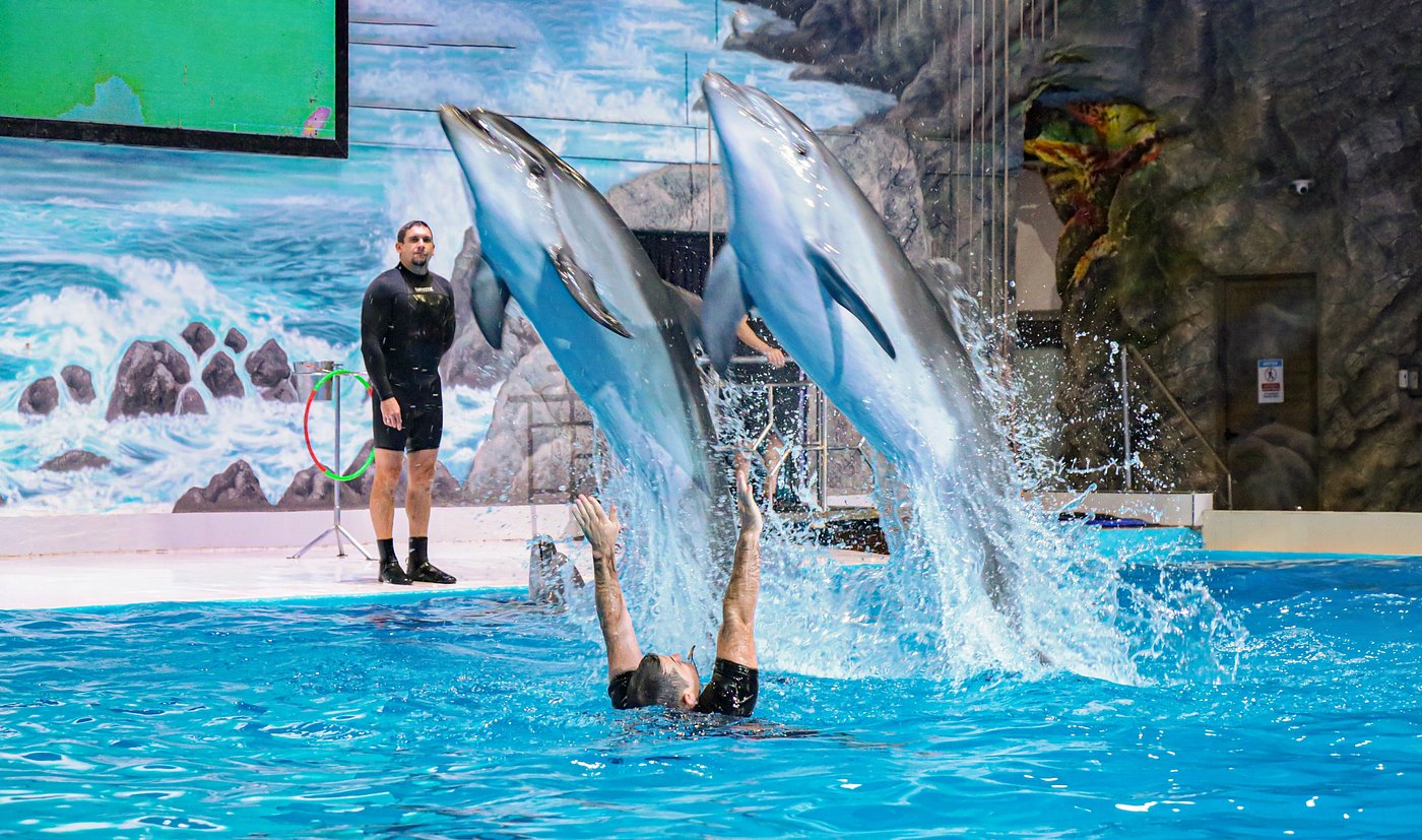 Dubai Dolphinarium