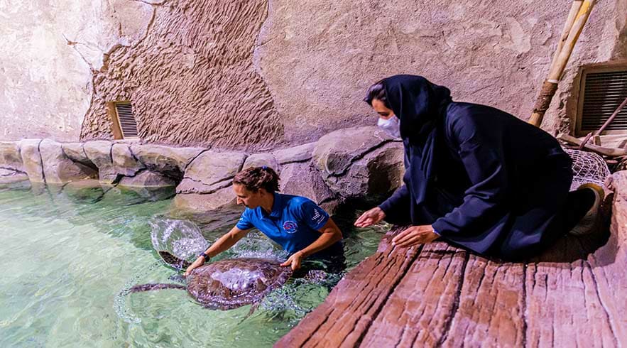 National Aquarium Abu Dhabi
