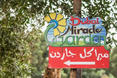 Dubai Miracle Garden