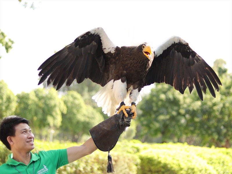 Exotic Bird Show Dubai