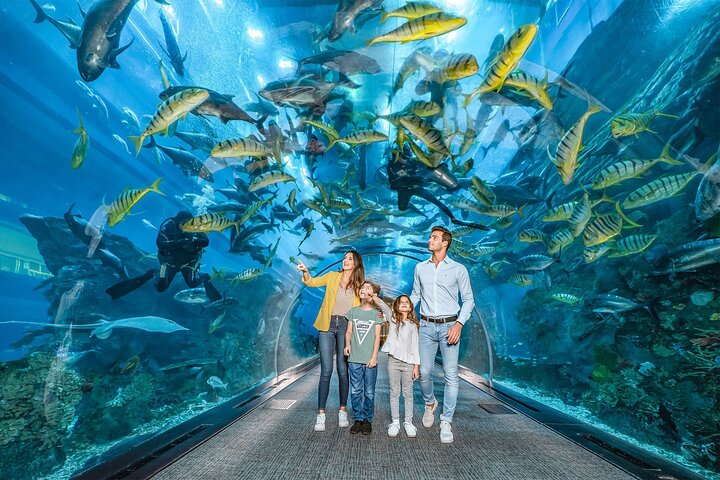 Dubai Aquarium & Underwater Zoo + Penguin Cove  (valid until 31 Dec 2025)