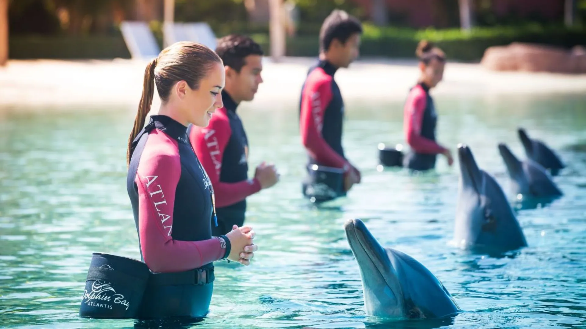 Atlantis Dolphin Swim