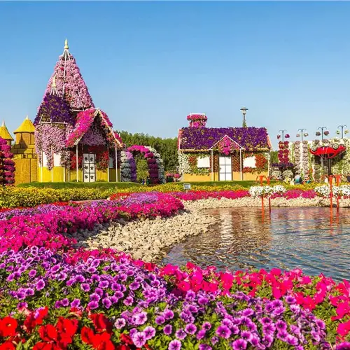 Dubai Butterfly Garden