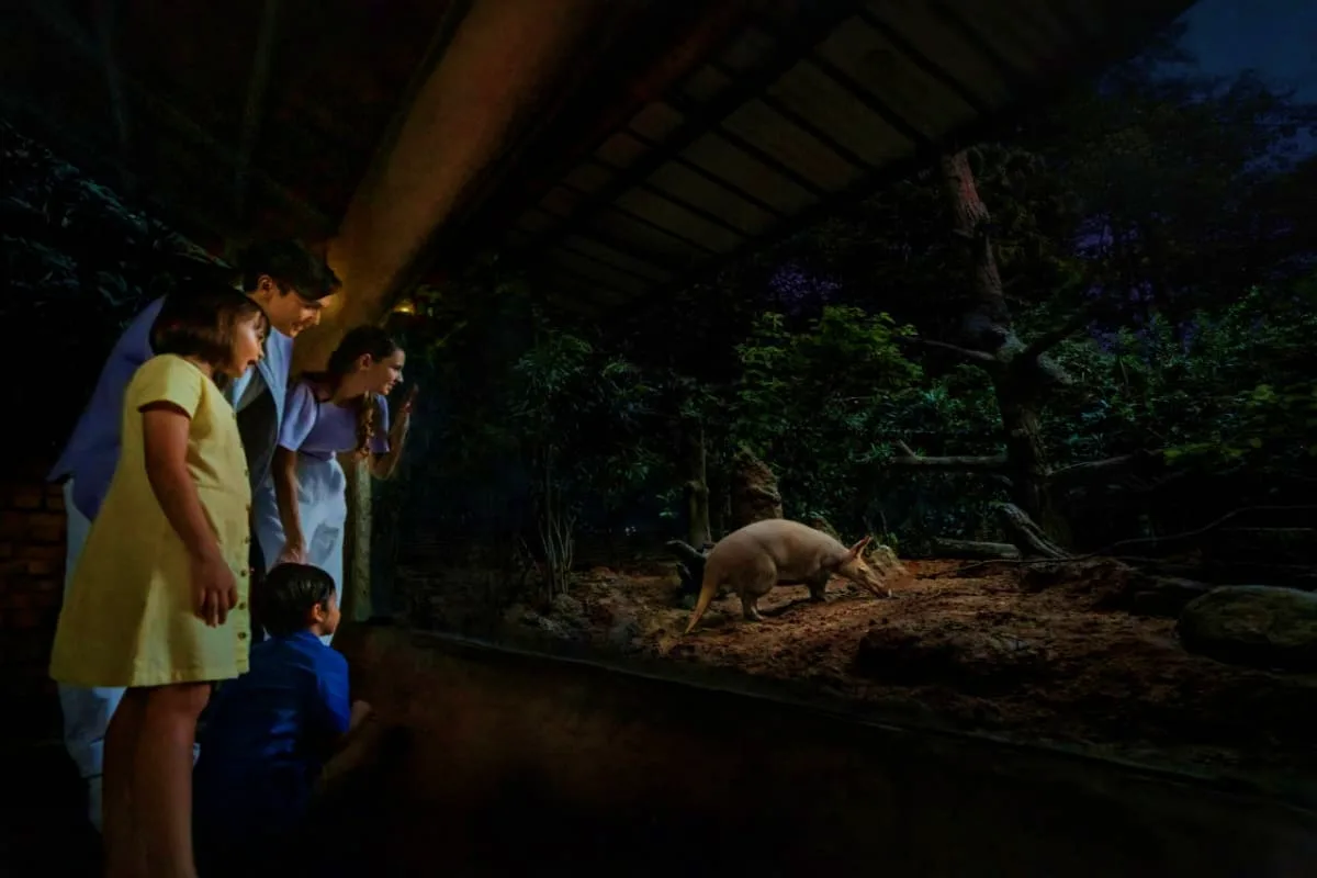 Night Safari Singapore