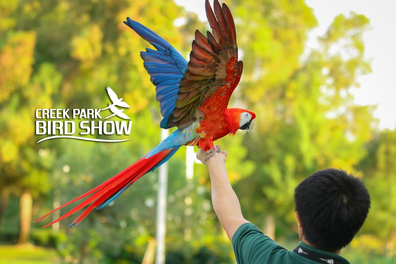 Exotic Bird Show Dubai